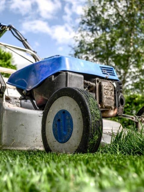 A push mower low in the grass, mid-cut, with a clean stripe of short lawn behind it